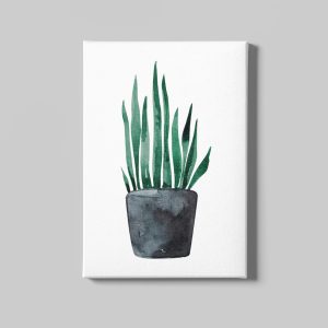 Saksıda Yeşil Yapraklı Çiçek Çizim Kanvas Tablo