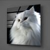 Beyaz Kedi Cam Tablo