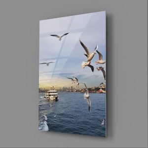 İstanbul Martılar Cam Tablo