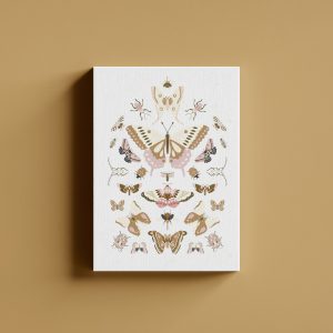 Kelebek Türleri Soft Renkli Çizimler Kanvas Tablo