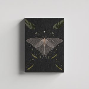 Şeffaf Mitolojik Kelebek Kanvas Tablo